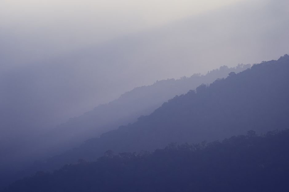 Why the surge in best hill stations search trends matters for Indian travel brands
